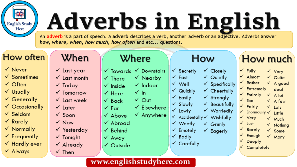 Adverbs In English How Often How Much How When Where English 