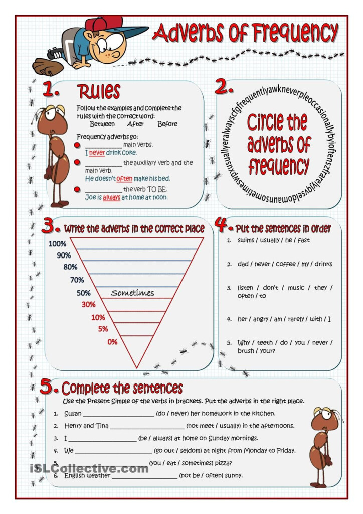 ADVERBS OF FREQUENCY Adverbs Of Frequency Adverbs English Grammar 