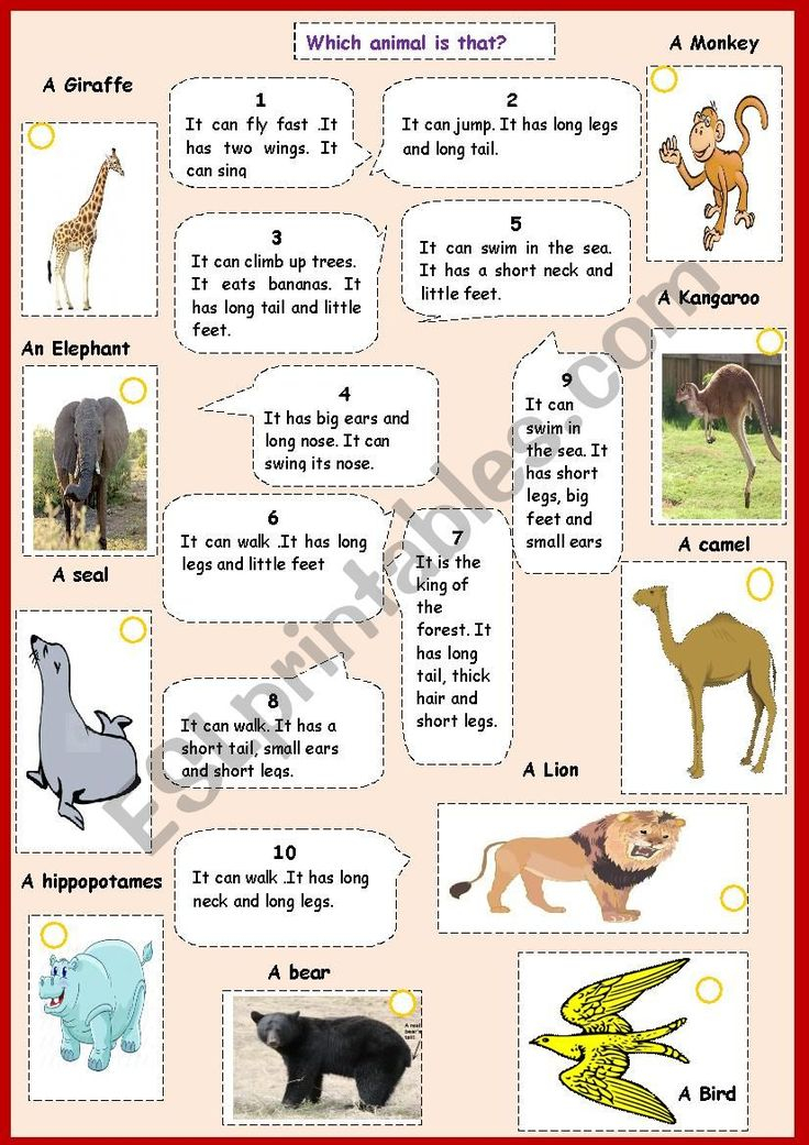 Animals Adjectives Worksheet Community Helpers Preschool Animal ...