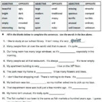 Grammar Worksheets For Middle School In 2020 Grammar Worksheets High