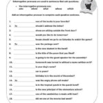 Indefinite Relative Pronoun Worksheets