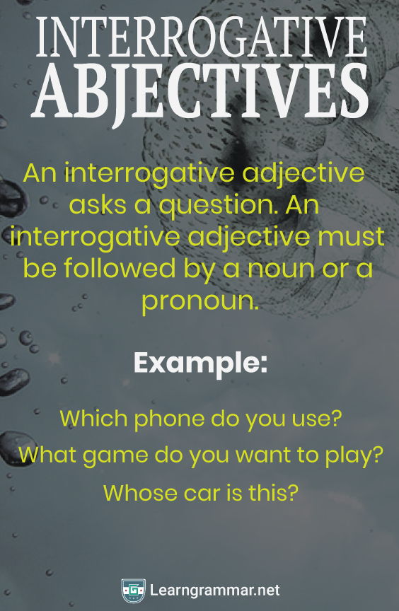 Interrogative Adjectives English Vocabulary Words Adjectives 