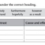 Linking Conjunctive Adverbs Worksheet