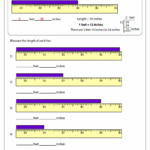 Measuring In Inches And Centimeters Worksheets For 2nd Grade