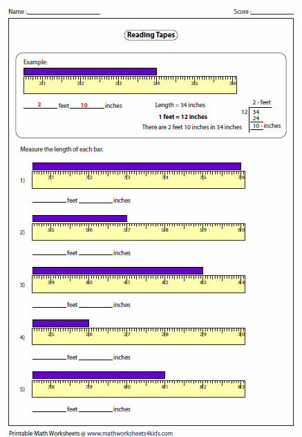 Measuring In Inches And Centimeters Worksheets For 2nd Grade
