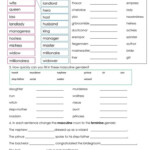 Nouns Gender English ESL Worksheets For Distance Learning And