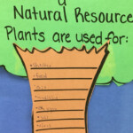 Plants Are A Natural Resource Activity Natural Resources Activities