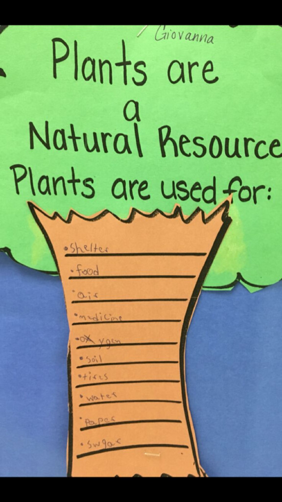 Plants Are A Natural Resource Activity Natural Resources Activities 