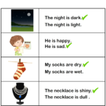 Sentence Using Adjectives About The Picture Worksheet Turtle Diary