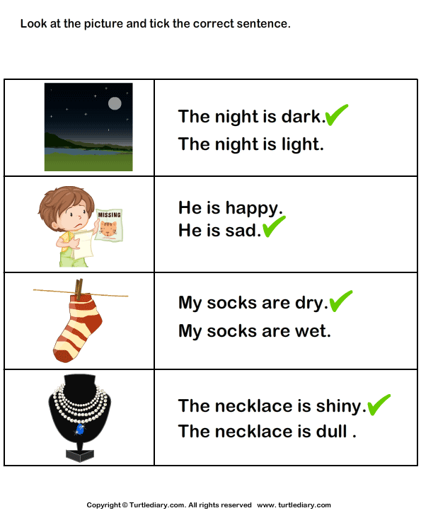Sentence Using Adjectives About The Picture Worksheet Turtle Diary