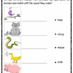 Sound Facts Worksheets For Kids Types Of Sounds Worksheets For