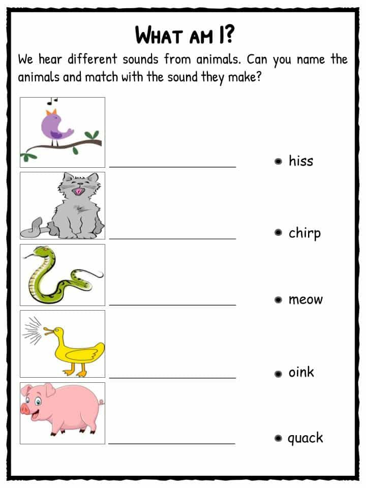 Sound Facts Worksheets For Kids Types Of Sounds Worksheets For 