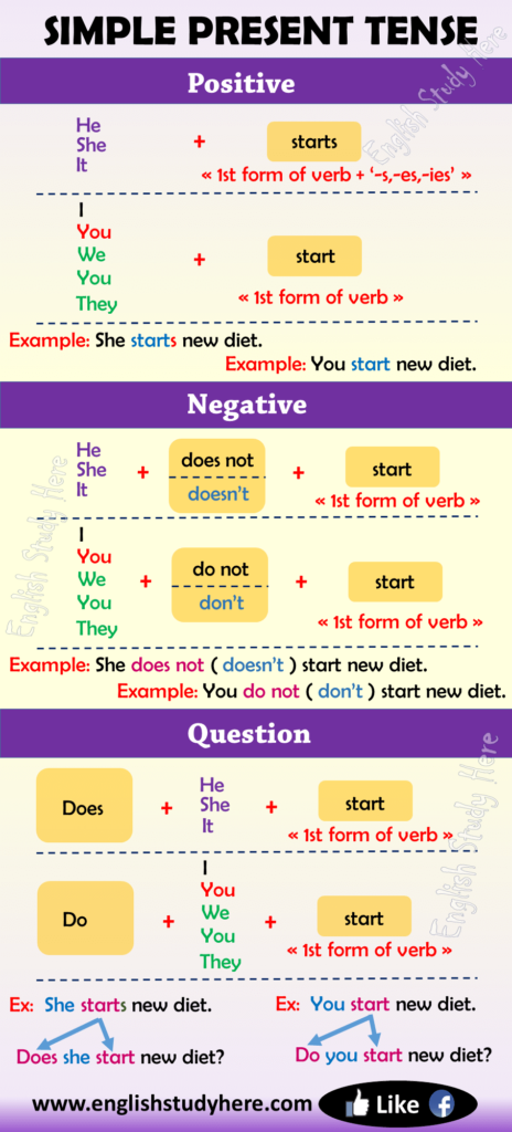 Structure Of Simple Present Tense Archives English Study Here